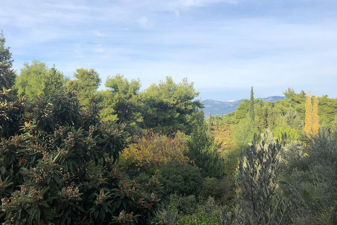 Land in Ekali, Attica, Greece 5 - 17878656