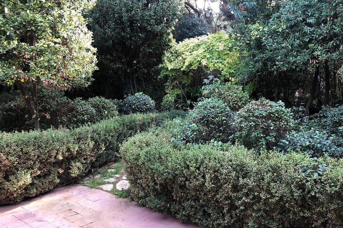 Land in Ekali, Attica, Greece 3 - 17878656
