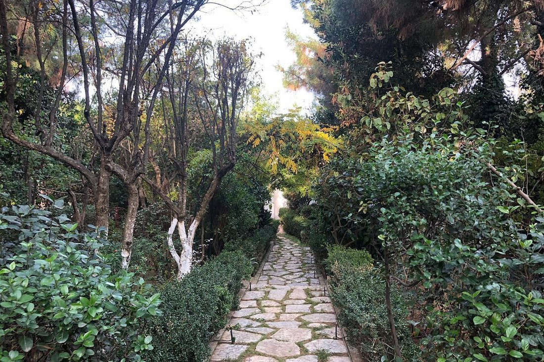 Land in Ekali, Attica, Greece 1 - 17878656