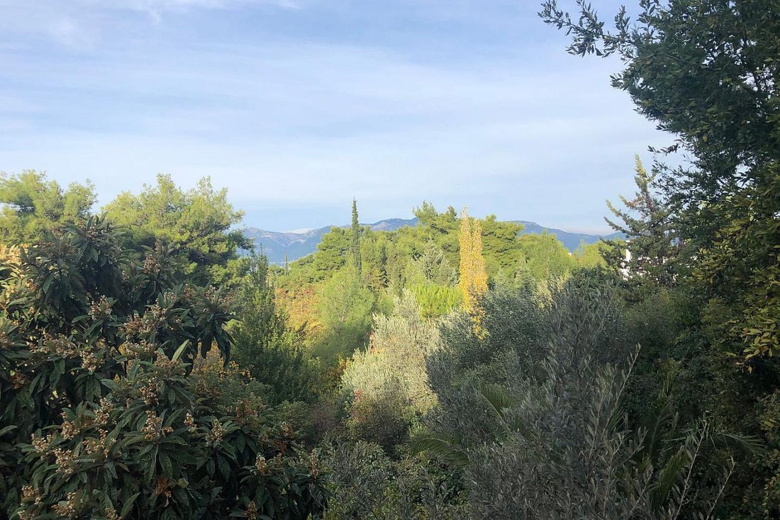 Land in Ekali, Attica, Greece 4 - 17878656