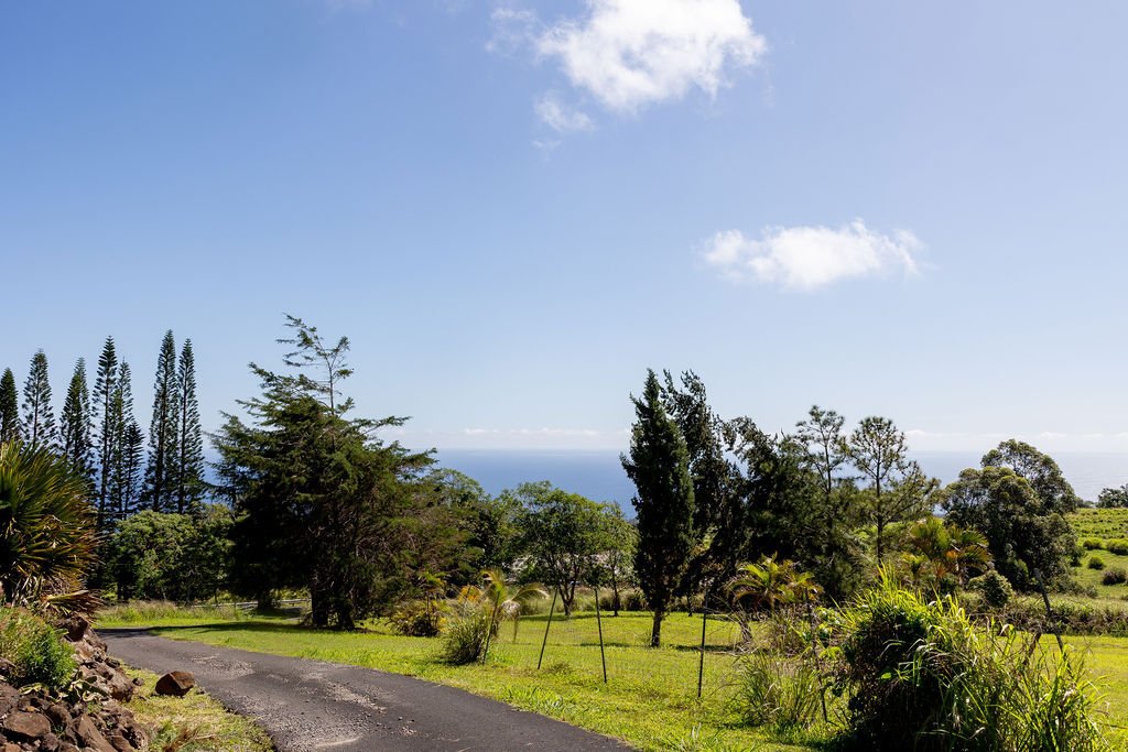 House in Honokaa, Hawaii, United States 2 - 17886967