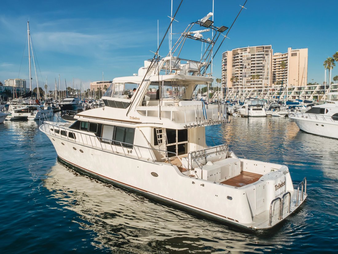 Sport Fisherman in United States 4 - 17885268