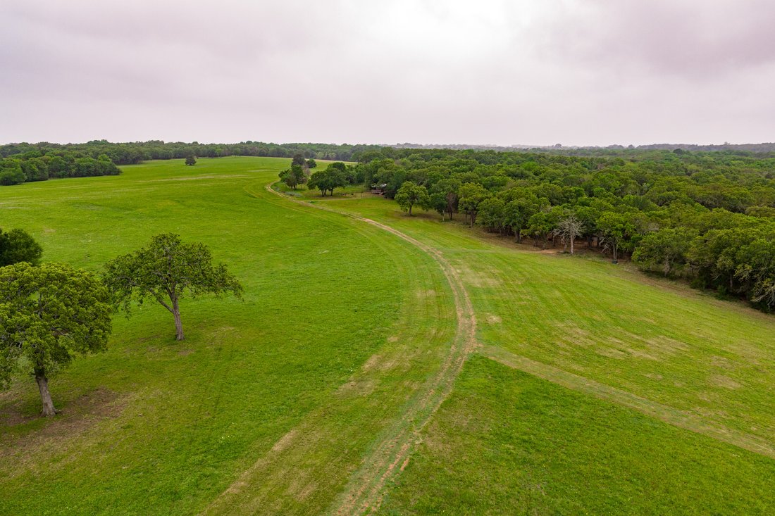Farm Ranch in Kerens, Texas, United States 5 - 17881484