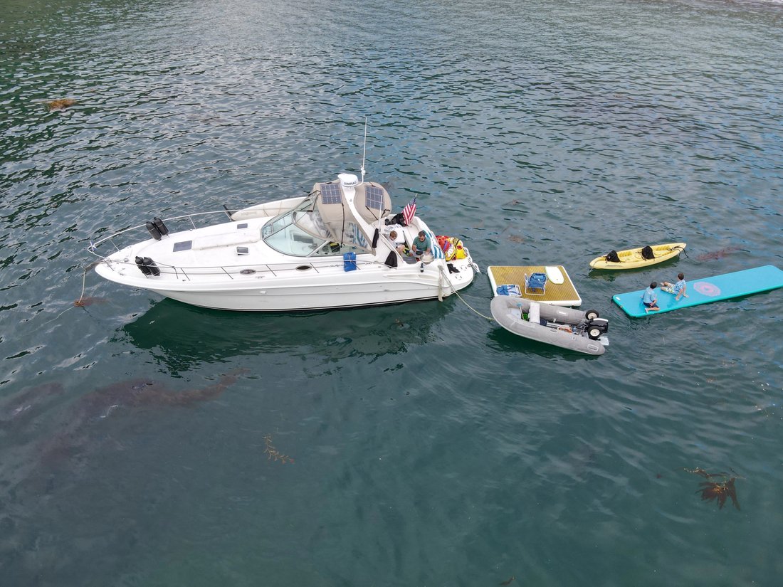 Cruiser in United States 3 - 17885419