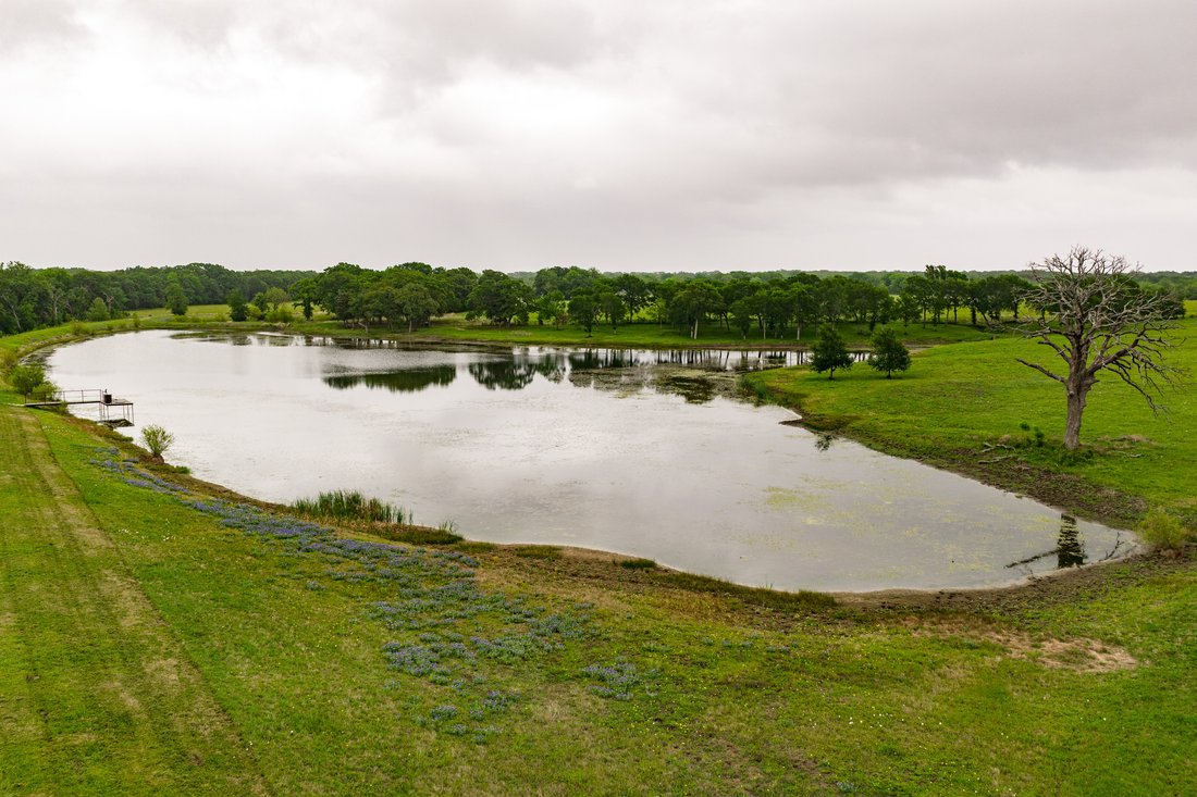 Farm Ranch in Kerens, Texas, United States 2 - 17881484