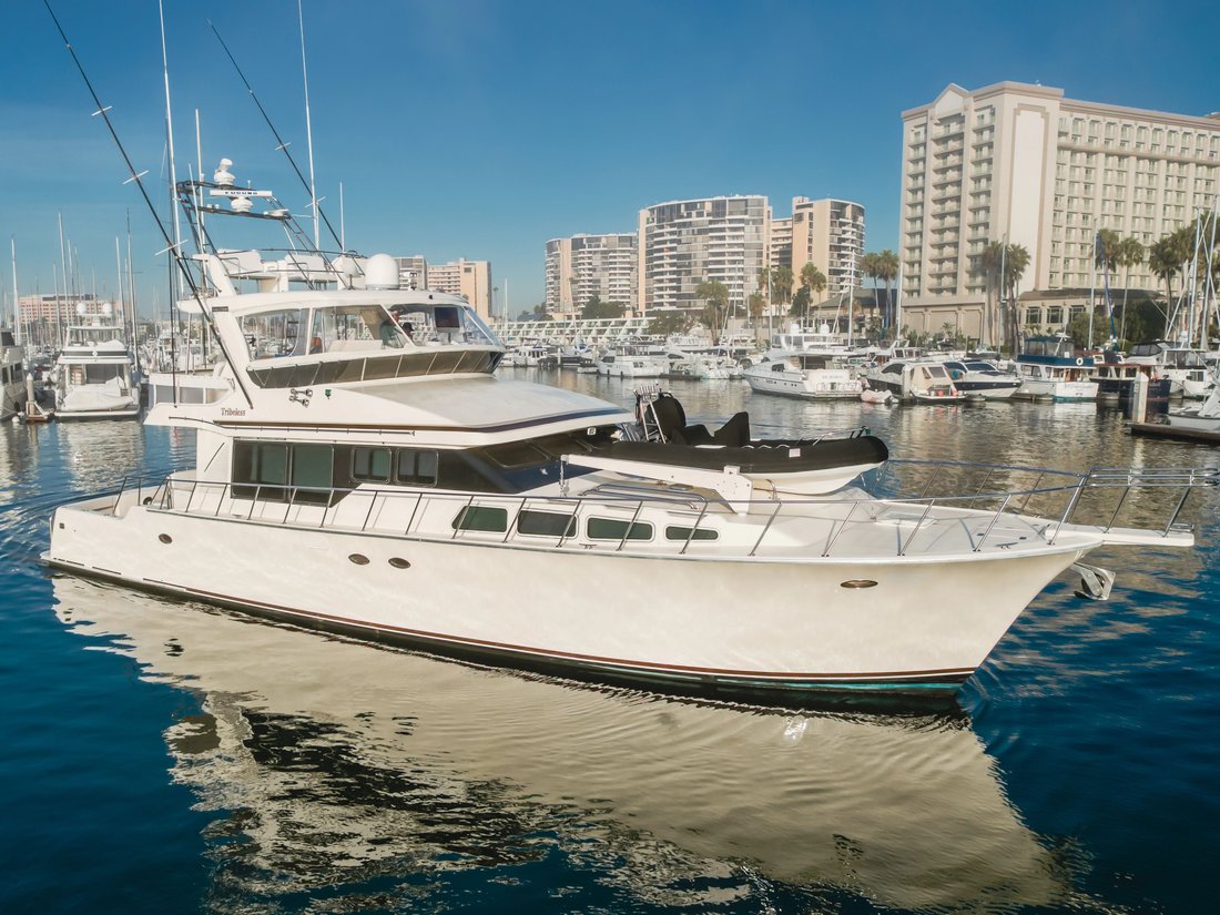 Sport Fisherman in United States 1 - 17885268