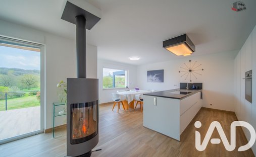 House in Zone Verte-Thionville Ouest, Thionville, France 1