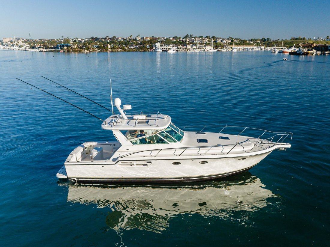 Cruiser in United States 3 - 17885272