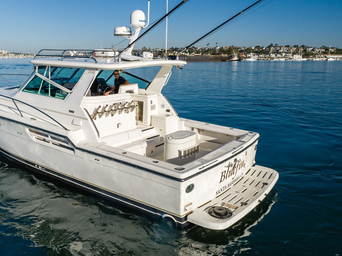 Cruiser in United States 4 - 17885272