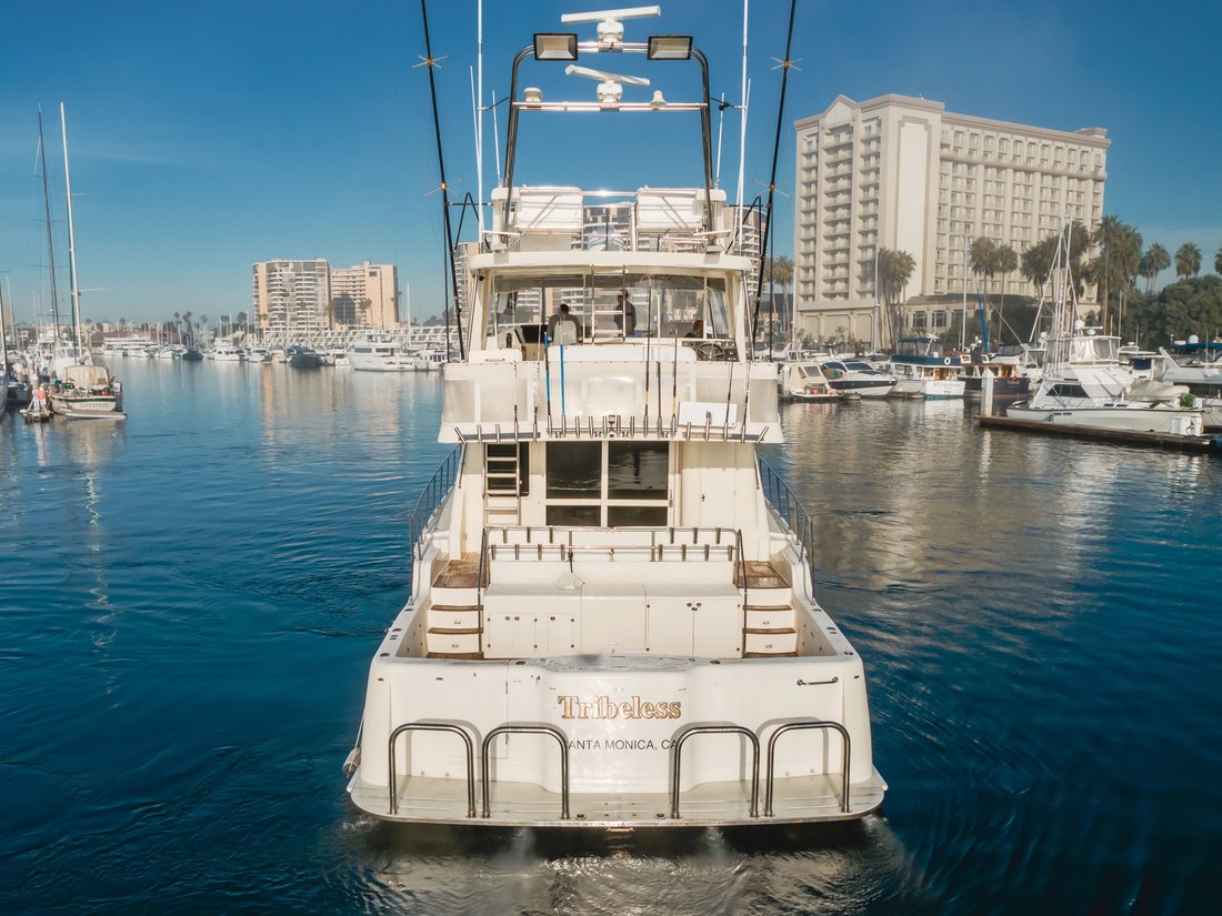 Sport Fisherman in United States 5 - 17885268