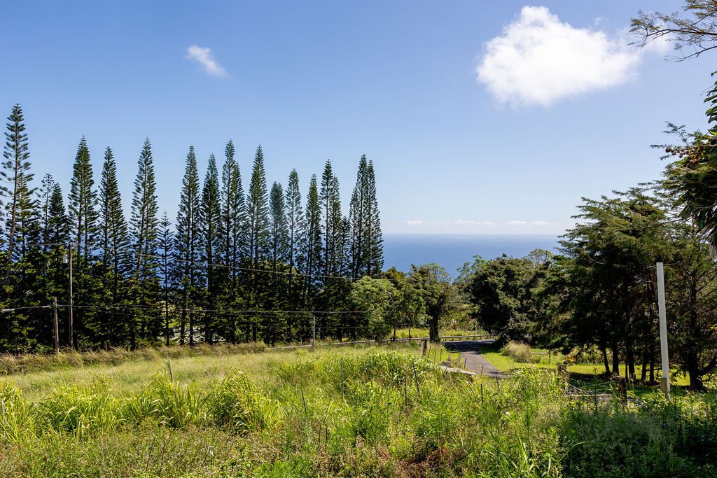 House in Honokaa, Hawaii, United States 3 - 17886967