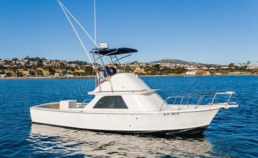 Yachts - 1 Bertram 31 for sale on JamesEdition