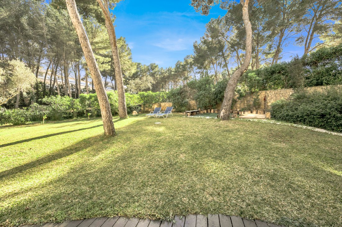 Apartment in Sol de Mallorca, Calvia, Balearic Islands 4 - 17887176