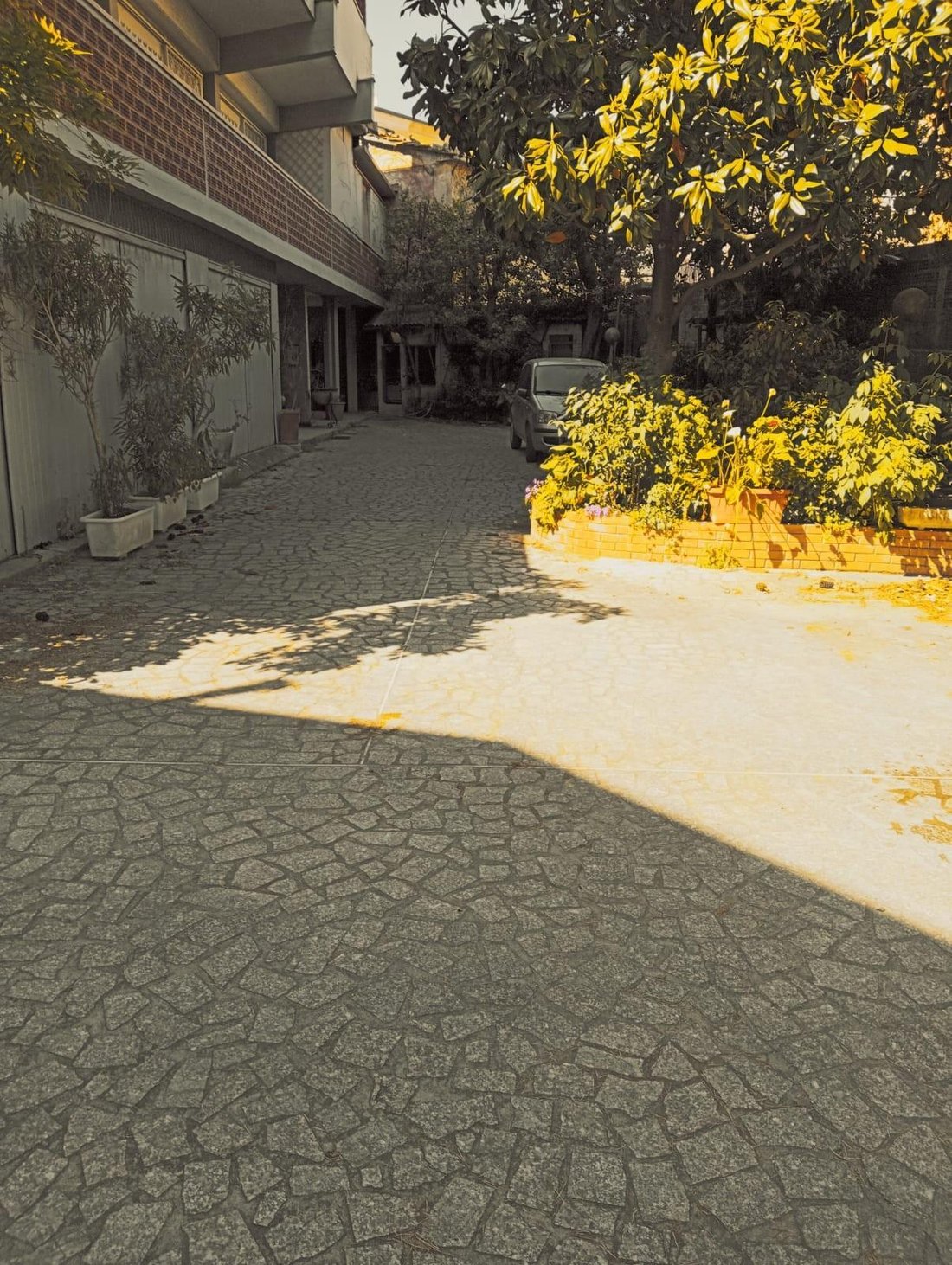 House in Stadium - Sant'Antonio - Marasio, Marina di Carrara, Tuscany 2 - 17882906