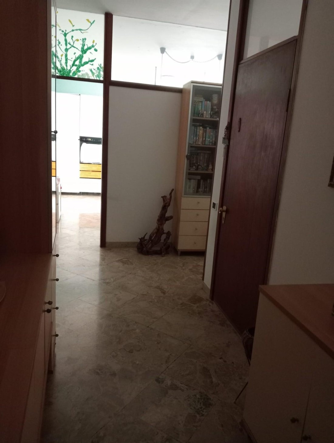 House in Stadium - Sant'Antonio - Marasio, Marina di Carrara, Tuscany 5 - 17882906