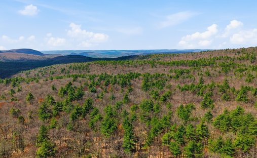 Land in Montague, Massachusetts, United States 1