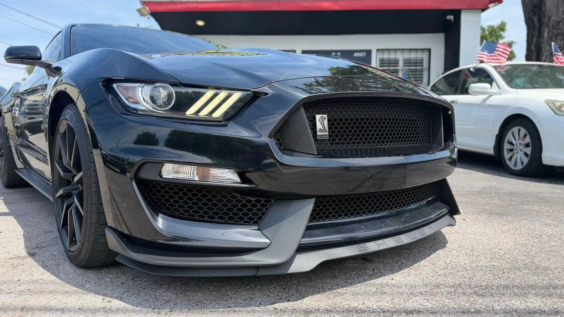 Coupe in Tampa, FL, United States 2 - 17883194