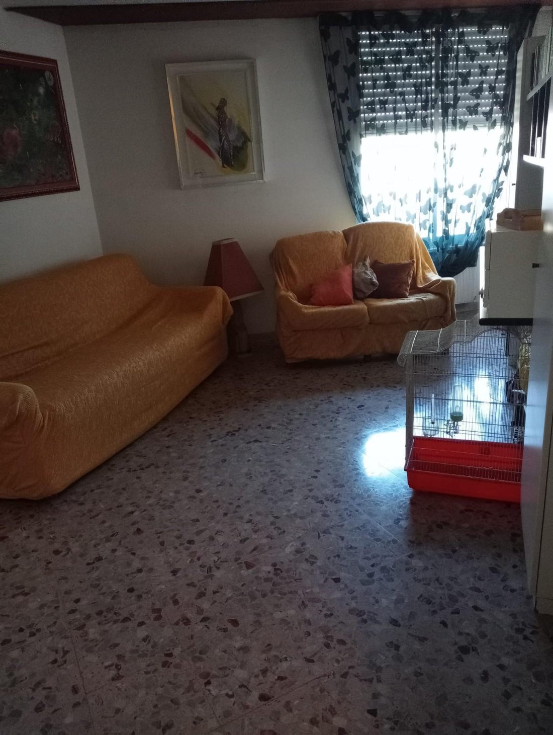 House in Stadium - Sant'Antonio - Marasio, Marina di Carrara, Tuscany 4 - 17882906