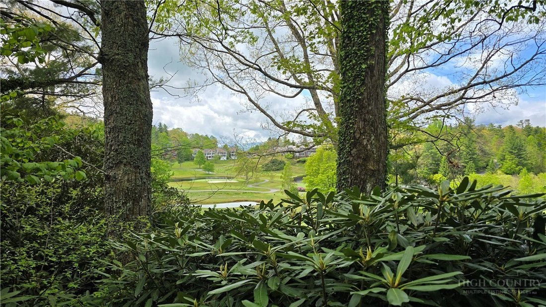 House in Blowing Rock, North Carolina, United States 2 - 17884872