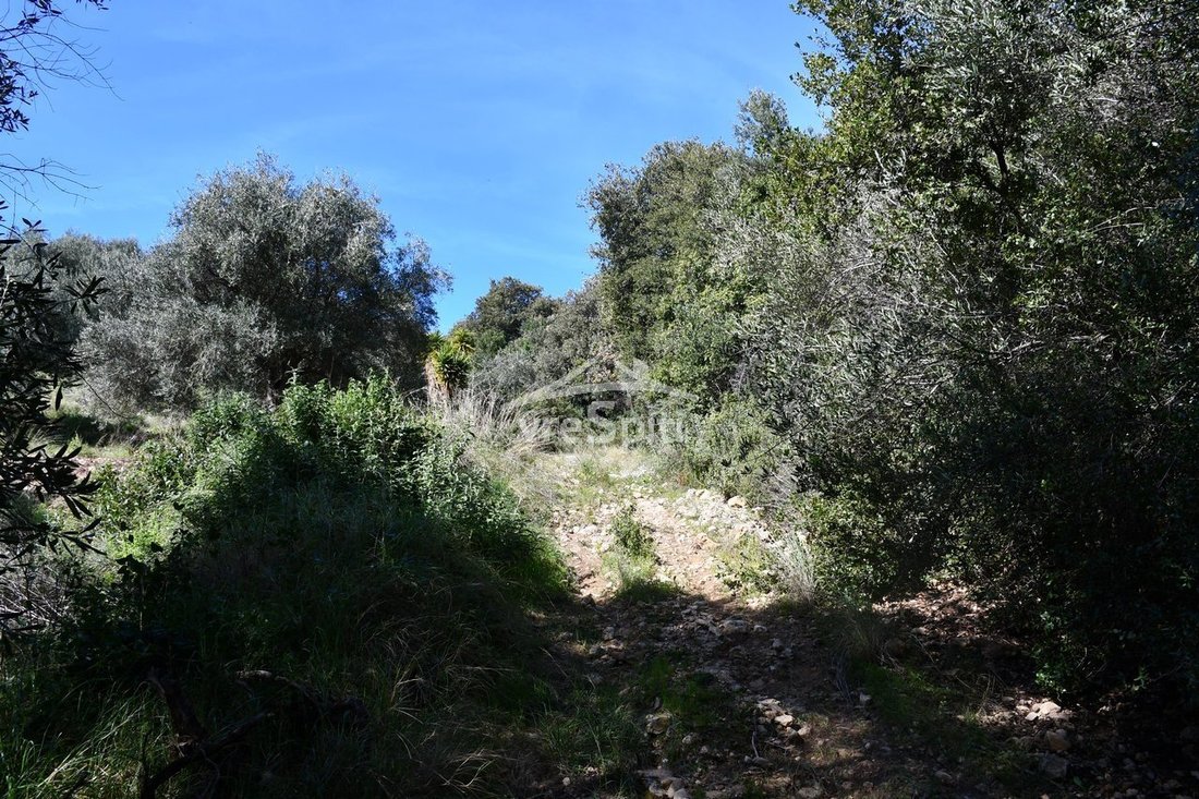 Land in Igoumenitsa, Epirus and Western Macedonia, Greece 4 - 17882759