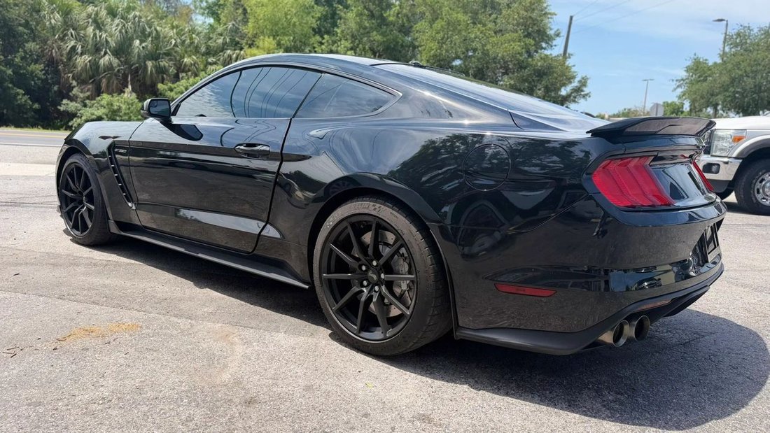Coupe in Tampa, FL, United States 5 - 17883194