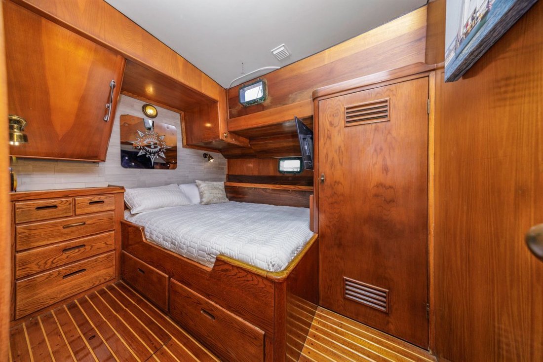 Cruiser in United States 5 - 17887528