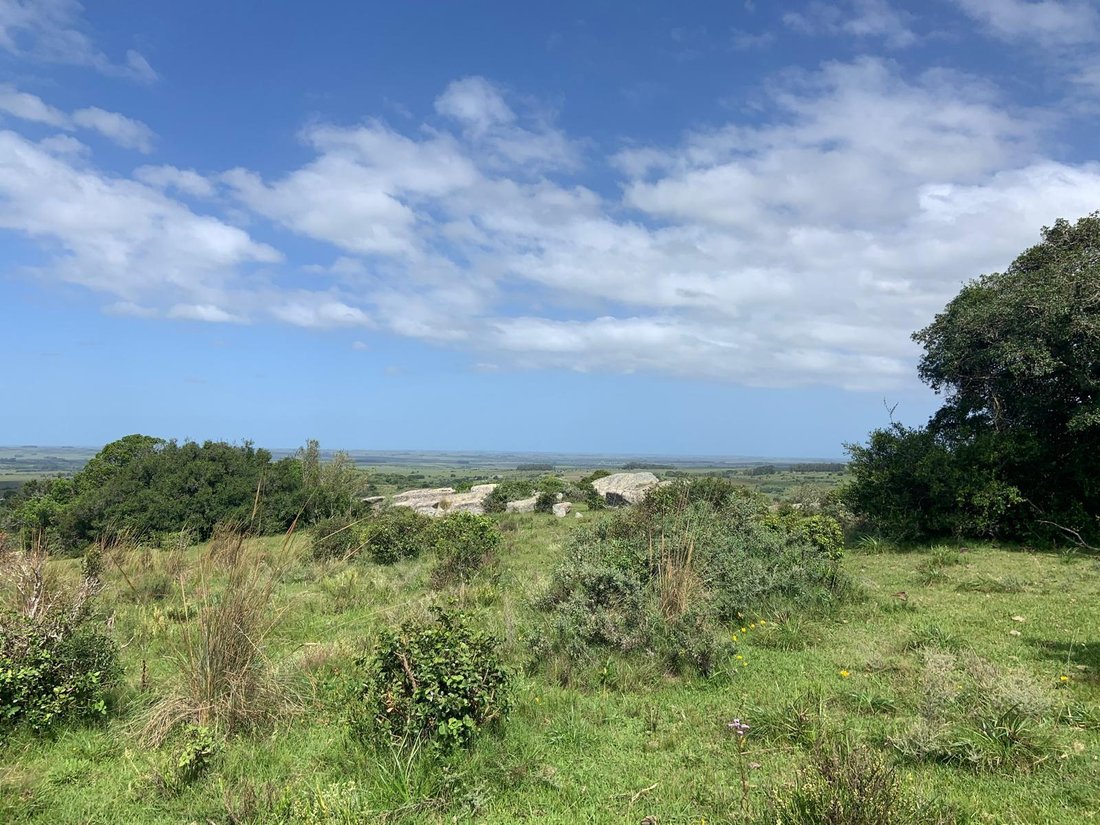 Land in Garzón, Maldonado Department, Uruguay 3 - 17888124