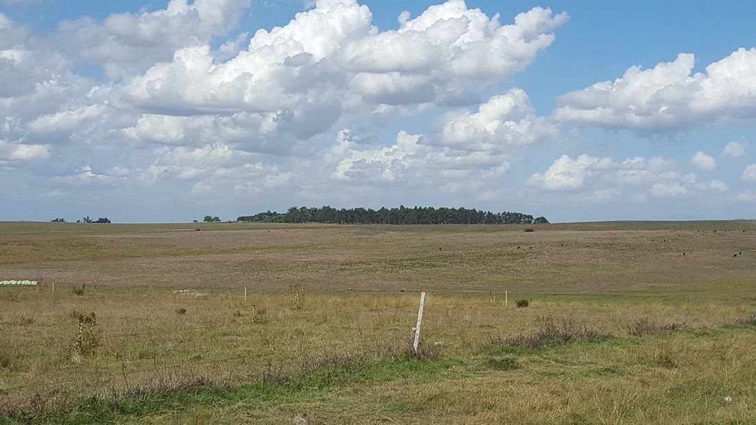 Farm Ranch in Polanco Norte, Lavalleja Department, Uruguay 4 - 17888249