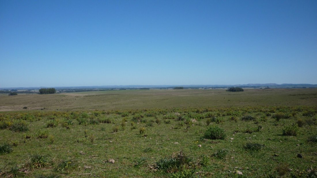 Land in Punta Rubia, Rocha Department, Uruguay 2 - 17888233