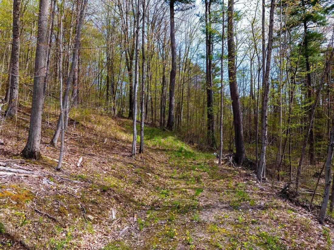 Terreno a Williston, Vermont, Stati Uniti 2 - 17889966