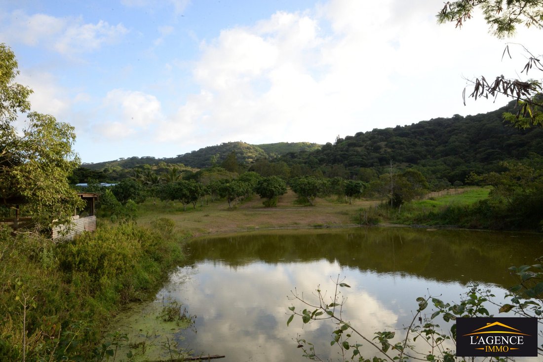 Farm Ranch in La Foa, South Province, New Caledonia 1 - 17893203