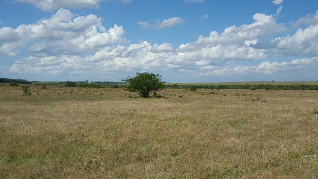 Farm Ranch in Polanco Norte, Lavalleja Department, Uruguay 5 - 17888249
