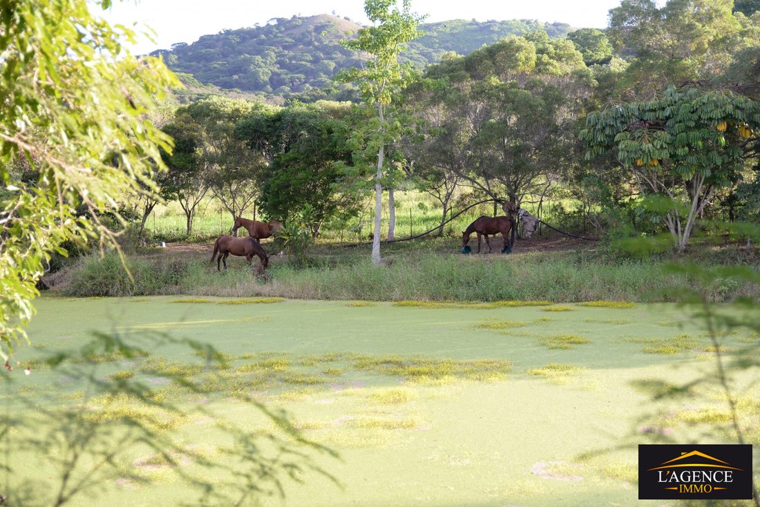 Farm Ranch in La Foa, South Province, New Caledonia 3 - 17893203
