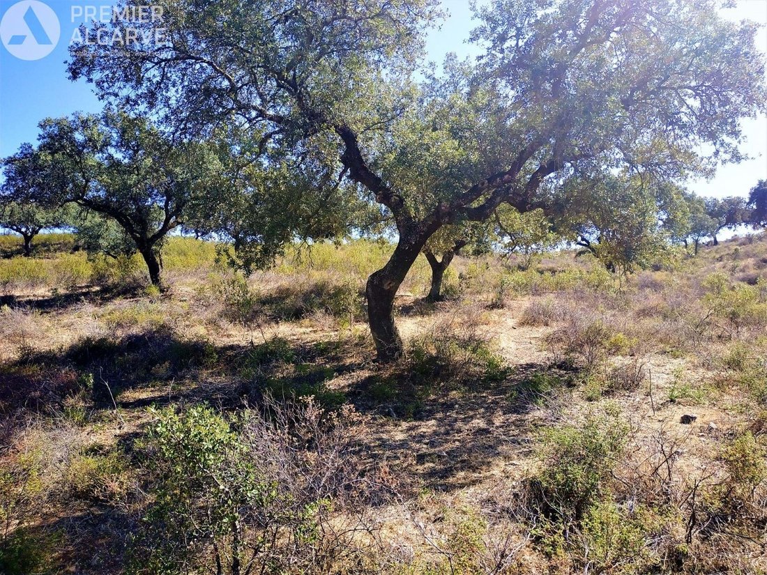 Farm Ranch in Mértola, Beja District, Portugal 4 - 17483530
