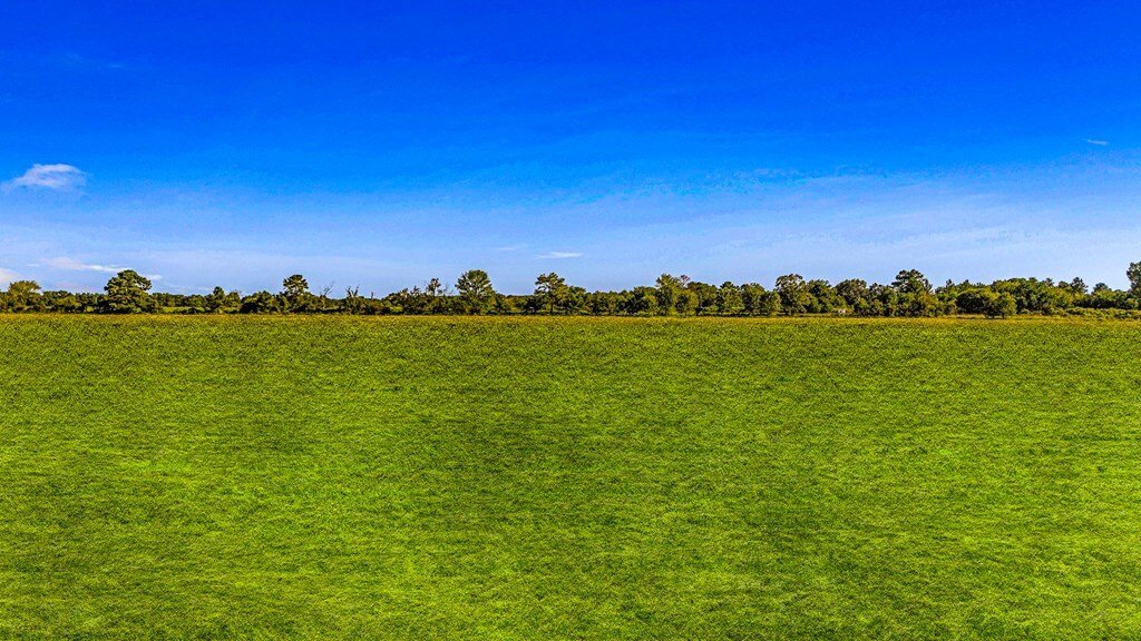 Land in Livingston, Texas, United States 3 - 17888557