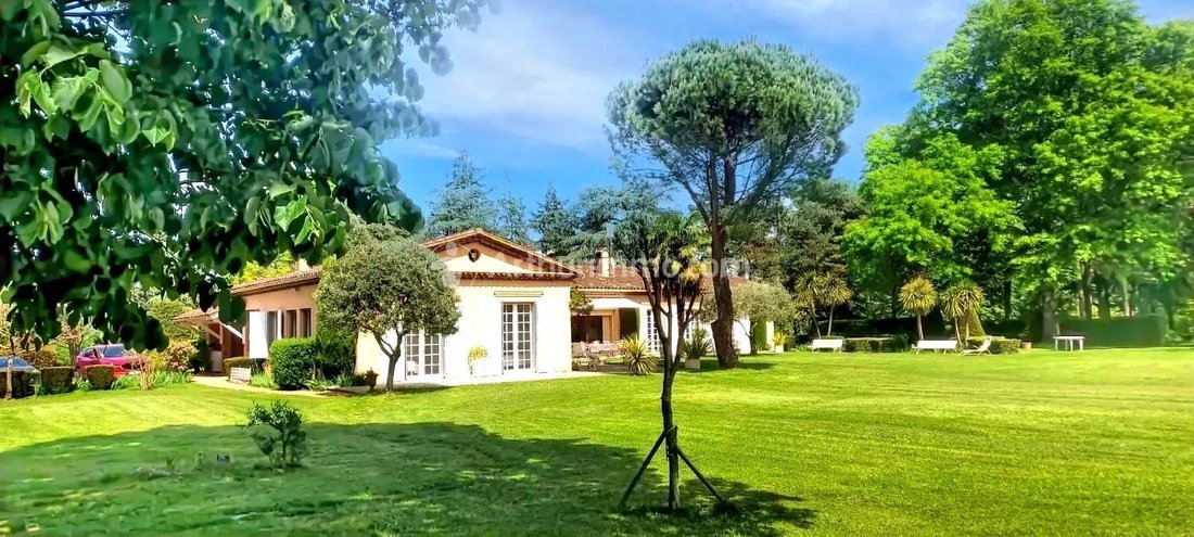 Estate in Montagne Noire, Mazamet, France 4 - 17889735
