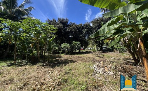Terreno a Hitiaa O Te Ra, Isole del Vento, Polinesia Francese 1