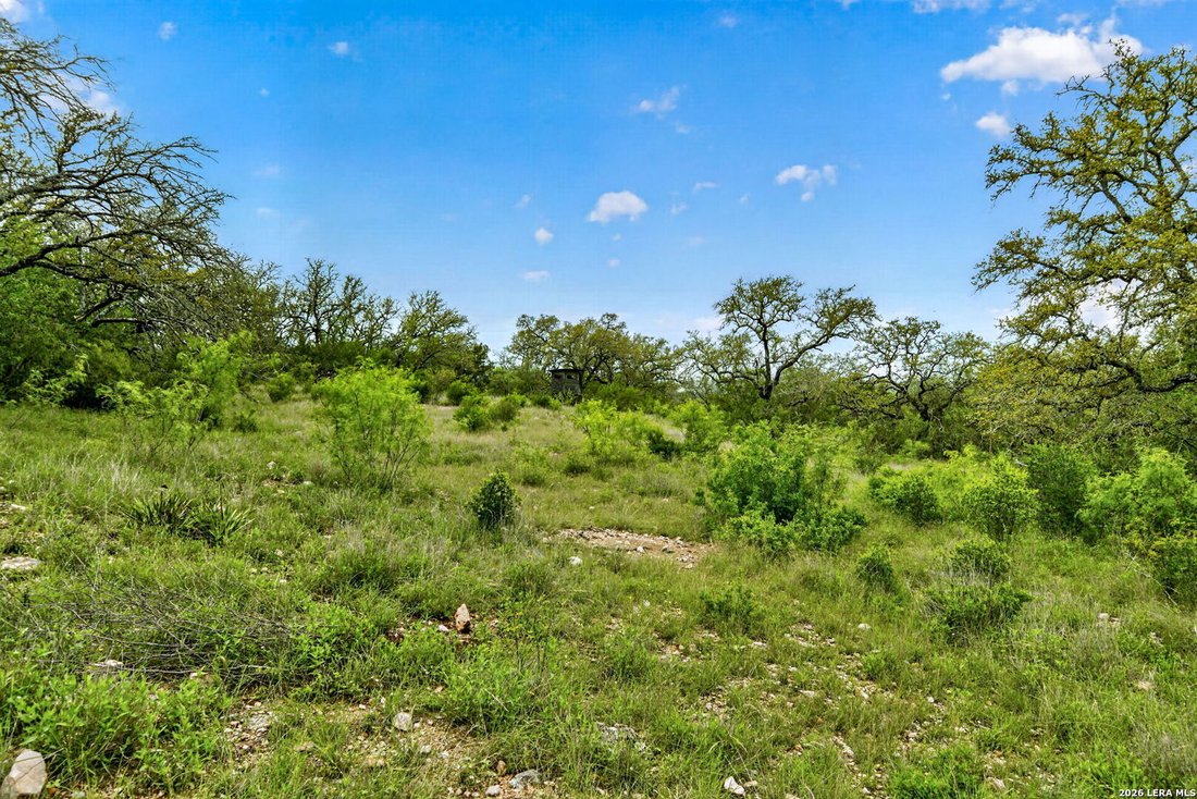 Farm Ranch in D'Hanis, Texas, United States 1 - 17892588