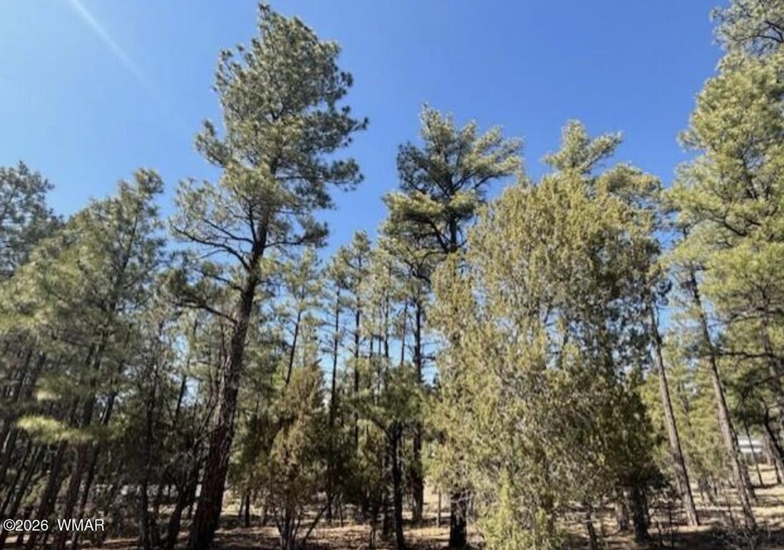 House in Show Low, Arizona, United States 5 - 17890306