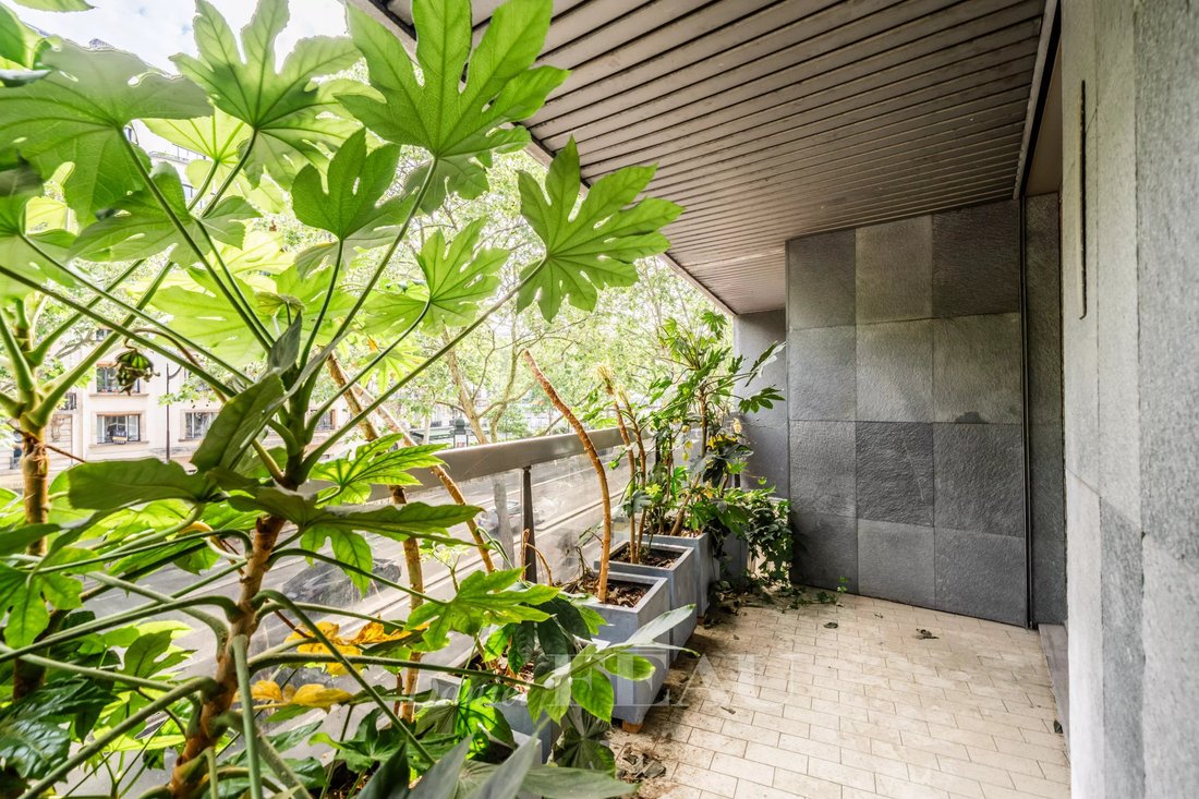 Apartment in Notre Dame des Champs, Paris 6e Arrondissement, Paris 2 - 17889482