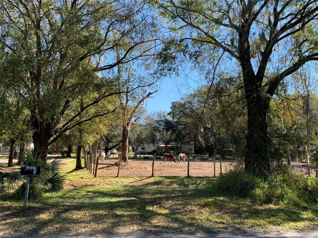 Land in Riverview, Florida, United States 1 - 17892657