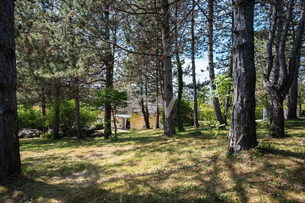 House in Lokev, Sežana, Slovenia 5 - 17889918