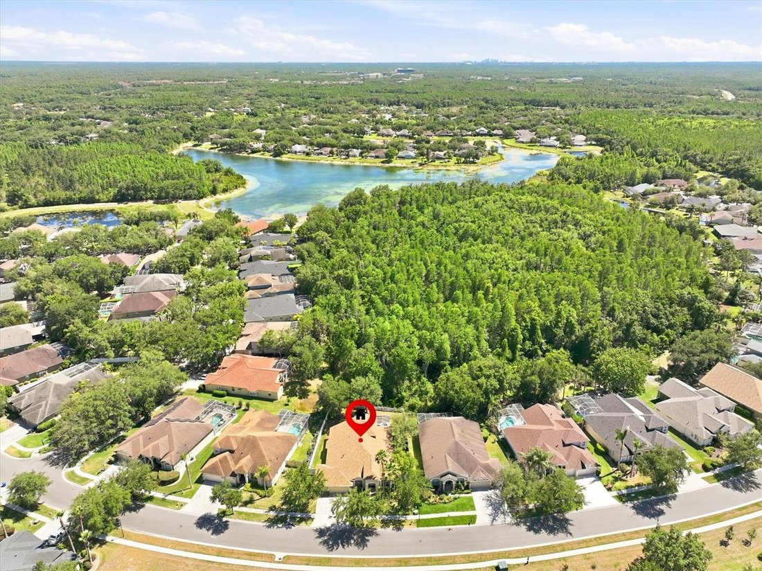 House in Tampa, Florida, United States 2 - 17891842