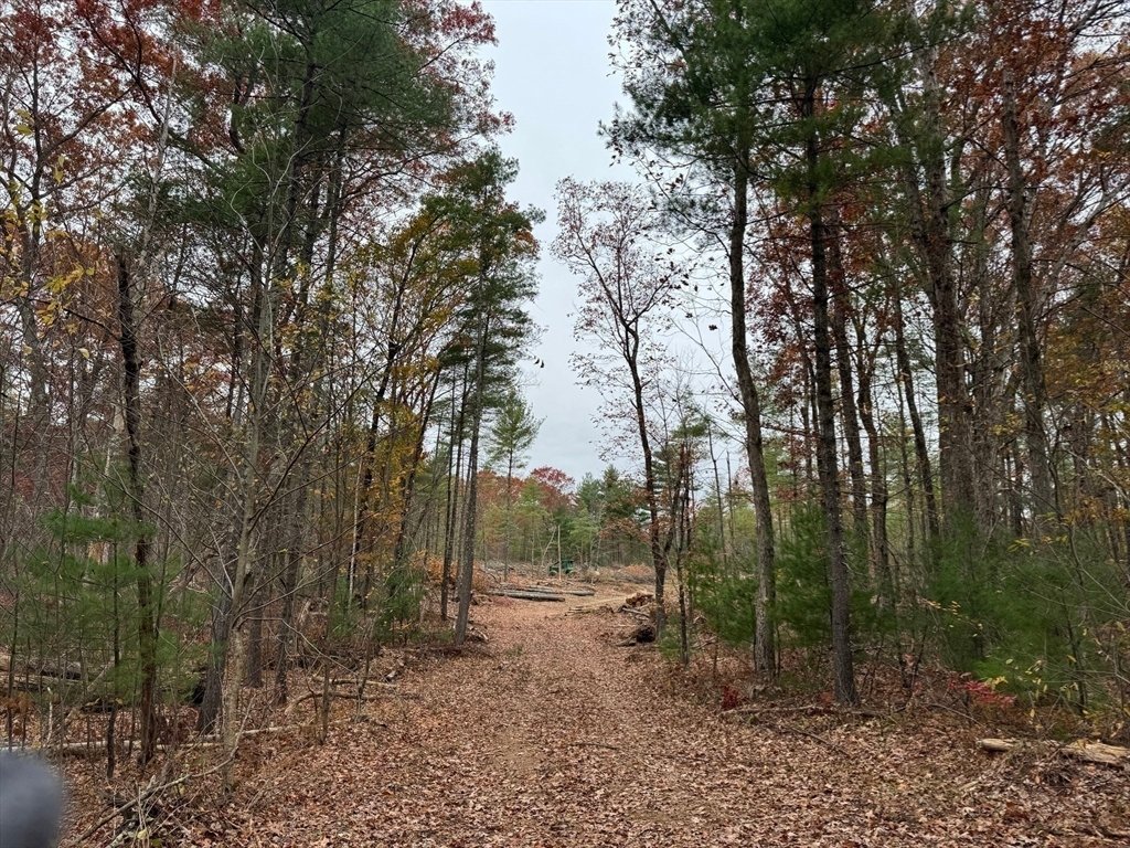 Land in Burrillville, Rhode Island, United States 3 - 16572199