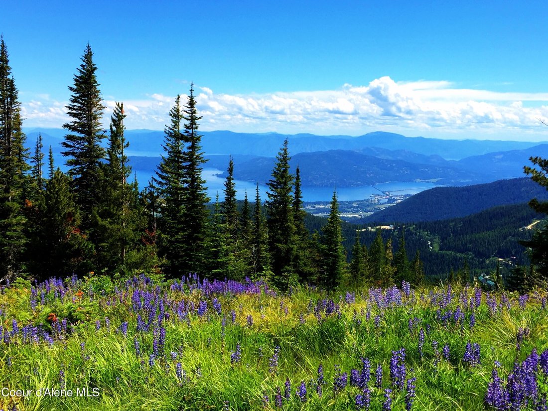 House in Sandpoint, Idaho, United States 4 - 17890759