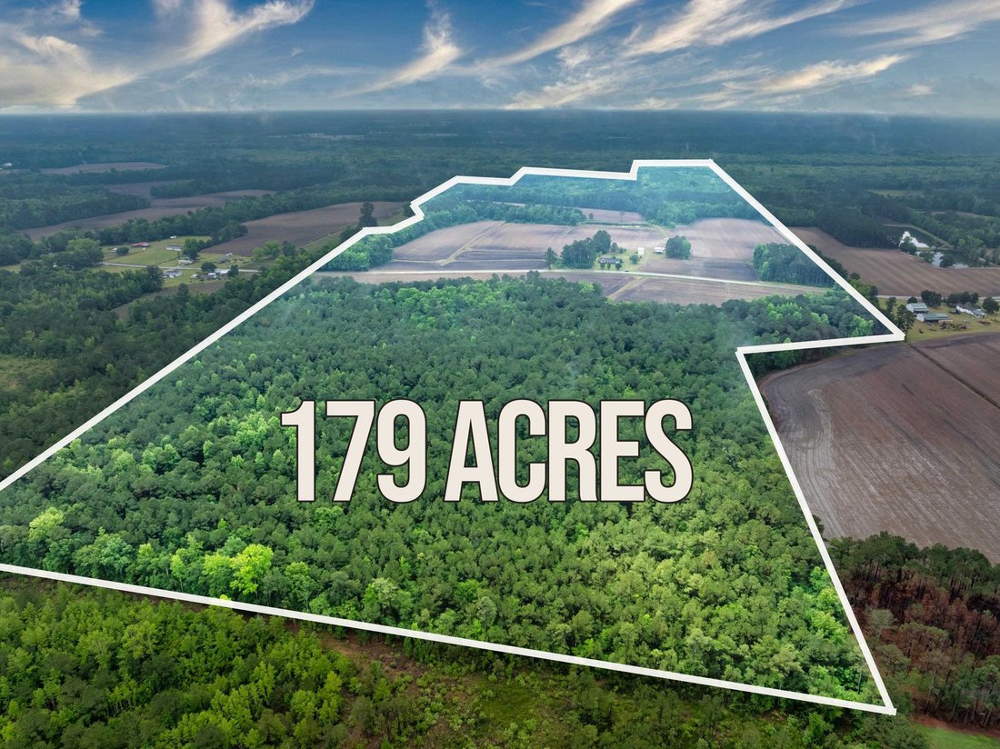 Land in Nichols, South Carolina, United States 2 - 17890252