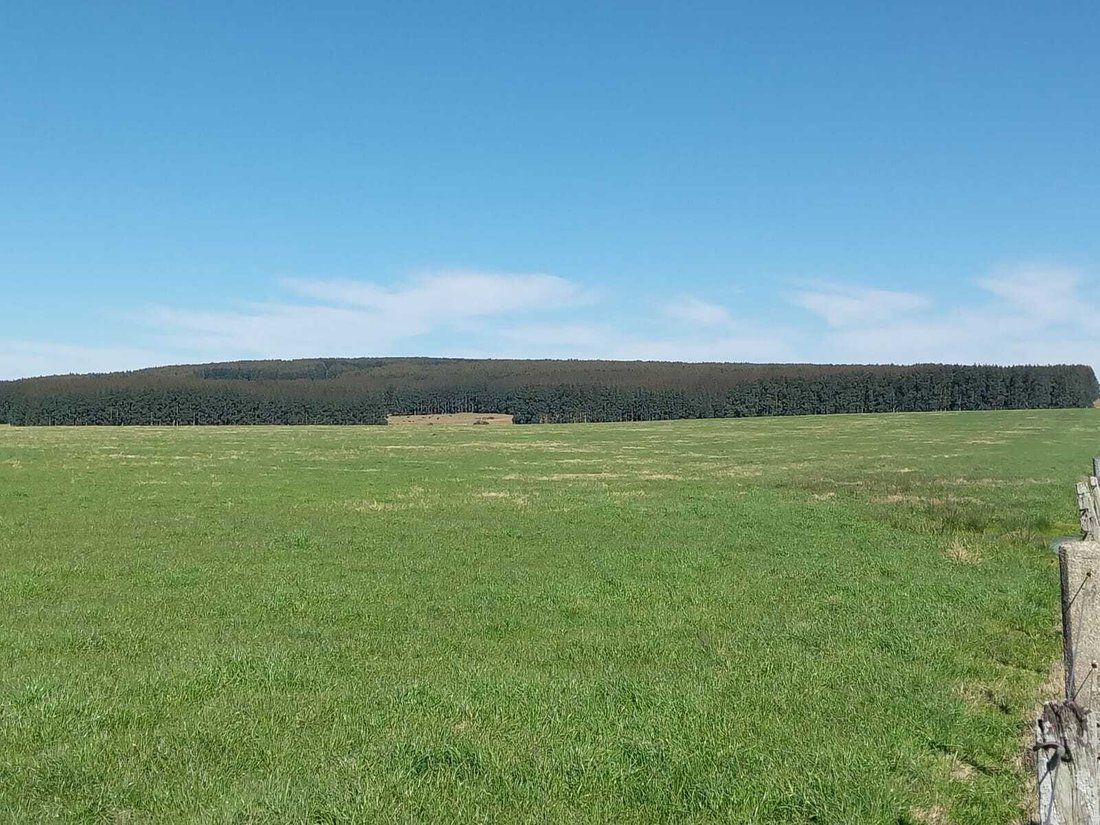 Farm Ranch in Capilla de Ferruco, Durazno Department, Uruguay 5 - 17888182