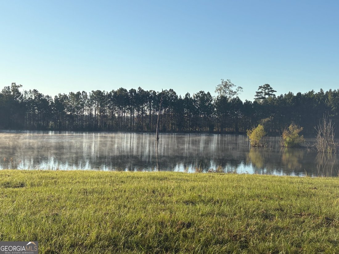 Land in Irwinton, Georgia, United States 5 - 17892534