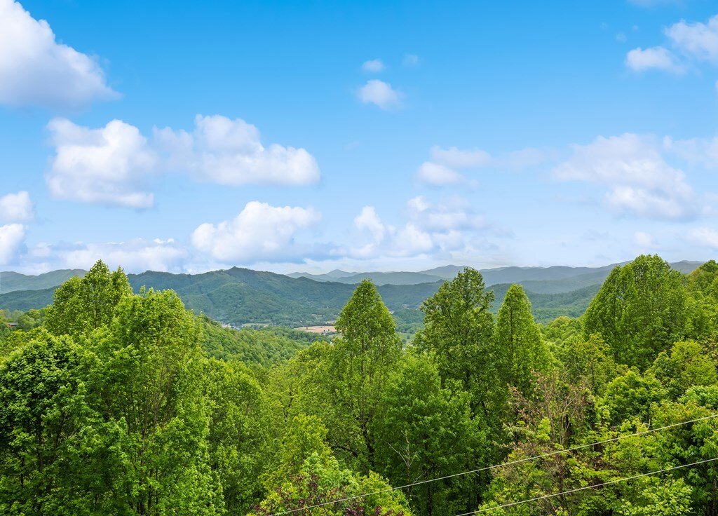 House in Waynesville, North Carolina, United States 5 - 17892540