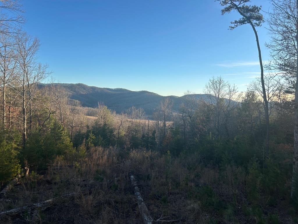 House in Morganton, Georgia, United States 1 - 17893555